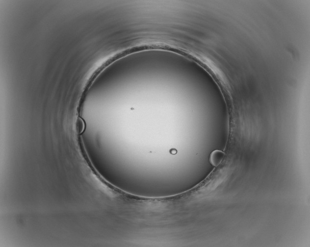 X0000112530799200908171419