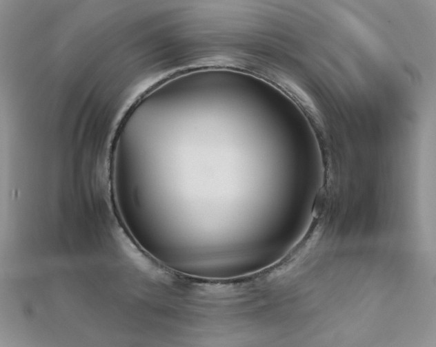 X0000112530800200908171419