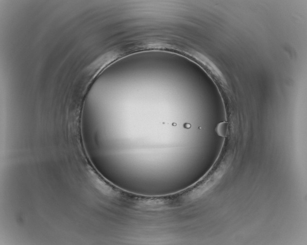 X0000112530801200908171419