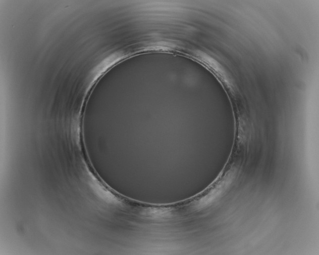 X0000112530802200908171419