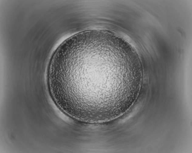 X0000112530803200908171419