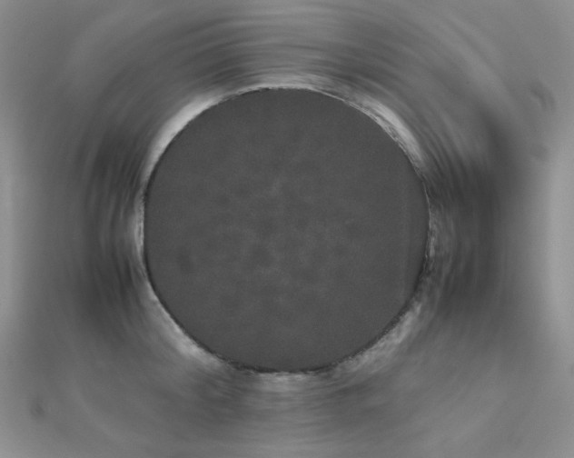 X0000112530804200908171419