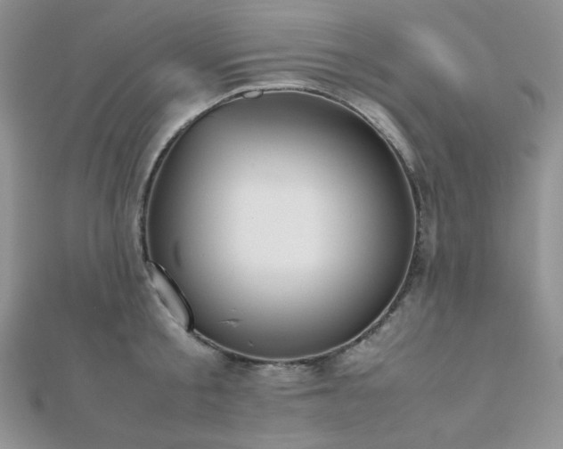 X0000112530805200908171419