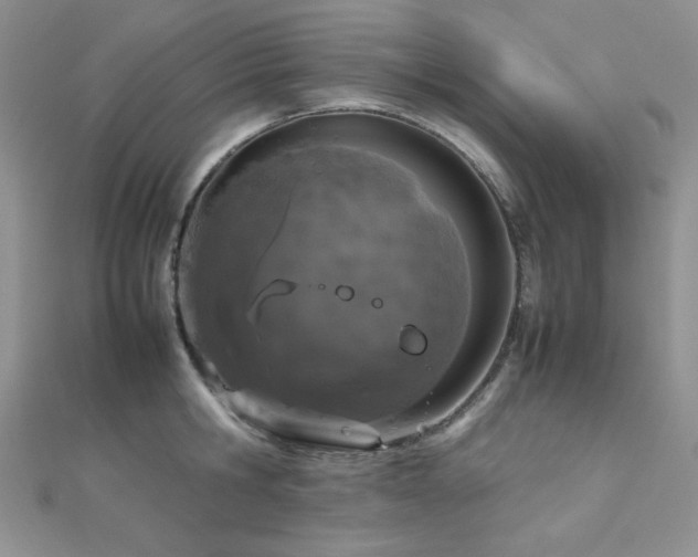 X0000112530806200908171419