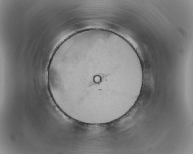 X0000112530807200908171419