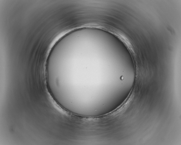 X0000112530808200908171419
