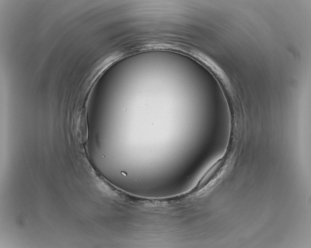 X0000112530809200908171419