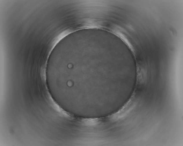 X0000112530810200908171419
