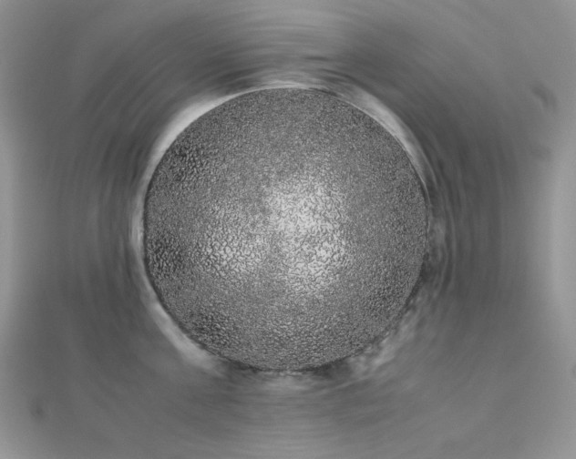X0000112530811200908171419