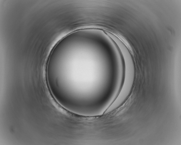 X0000112530813200908171419