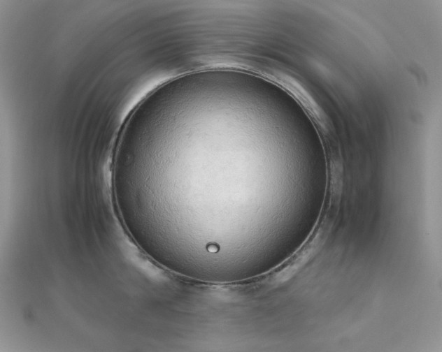 X0000112530814200908171419