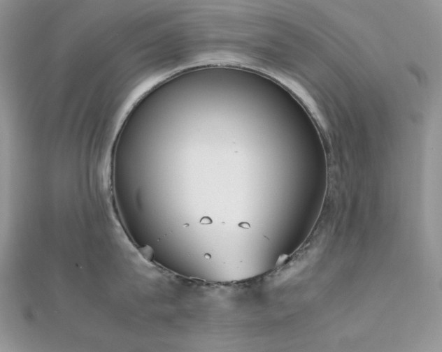X0000112530815200908171419