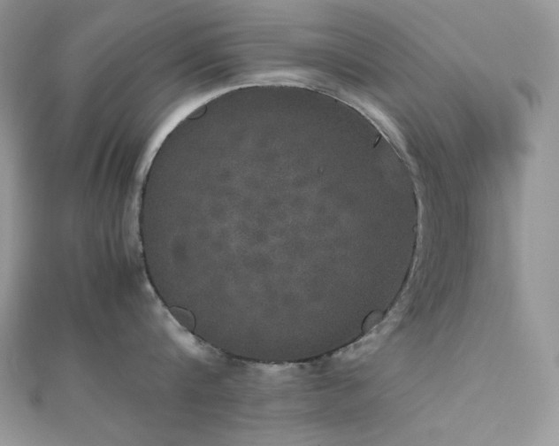 X0000112530816200908171419