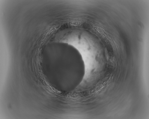 X0000112530817200908171419