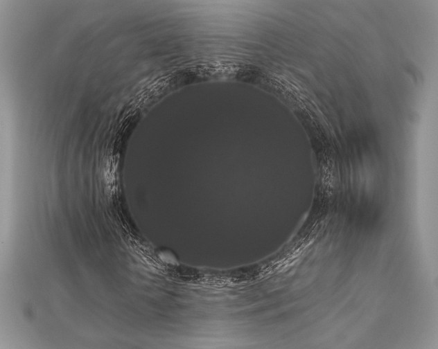 X0000112530818200908171419