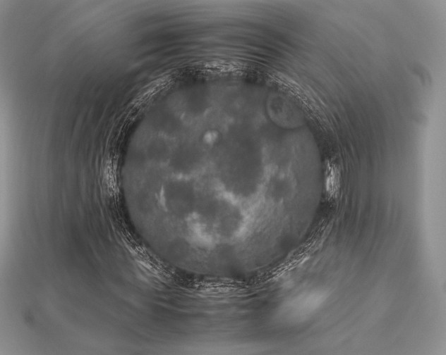 X0000112530819200908171419