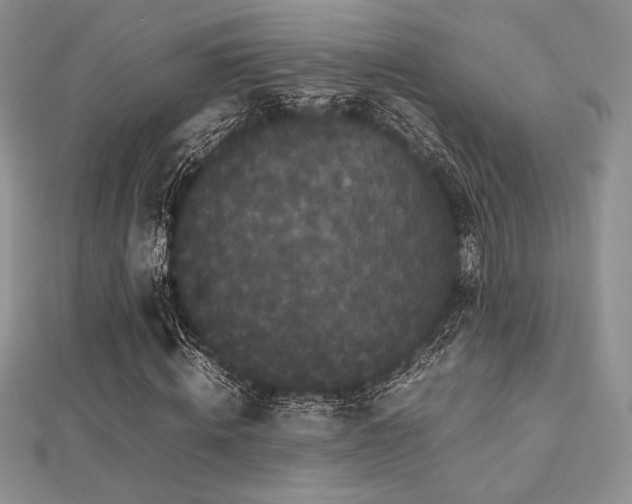 X0000112530820200908171419