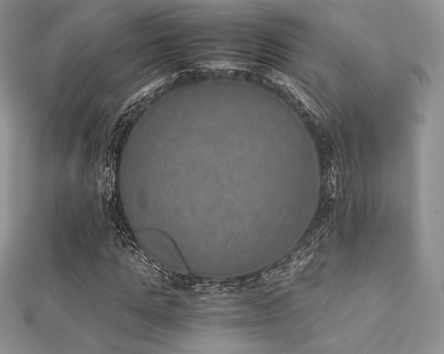 X0000112530821200908171419