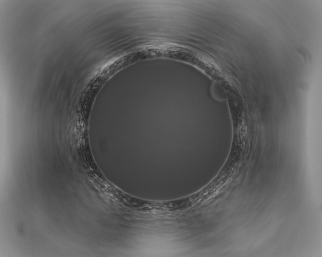 X0000112530822200908171419