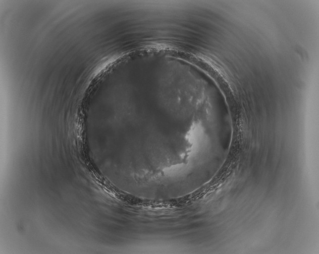 X0000112530823200908171419