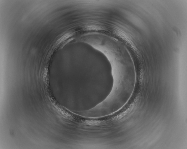 X0000112530825200908171419