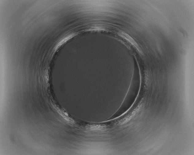 X0000112530826200908171419