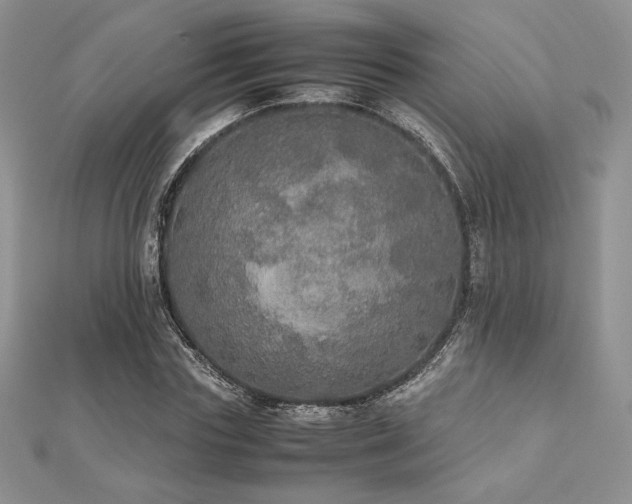 X0000112530827200908171419