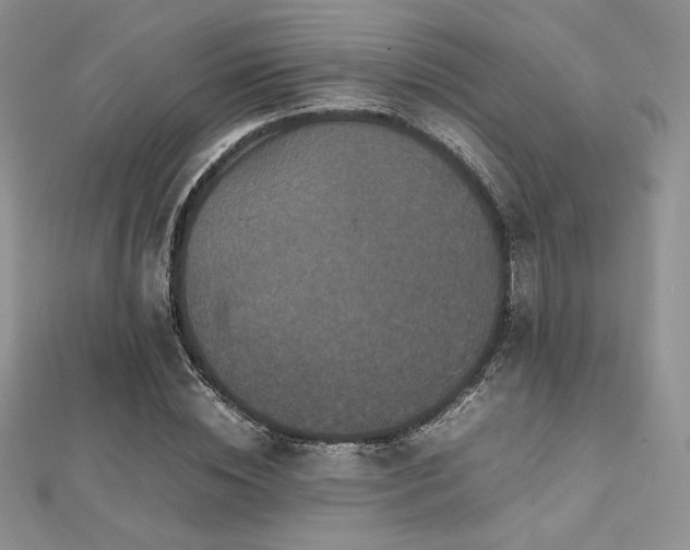 X0000112530828200908171419