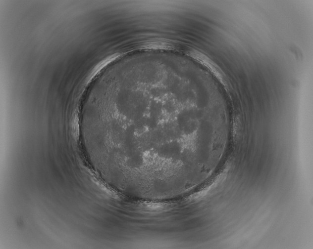 X0000112530829200908171419
