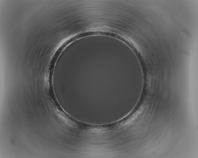 X0000112530830200908171419