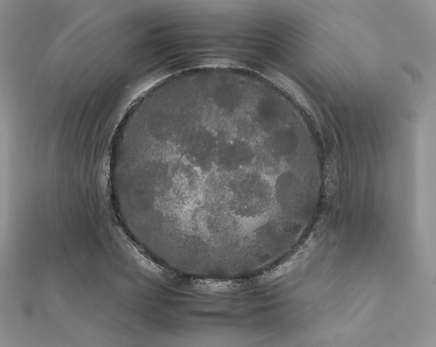 X0000112530831200908171419