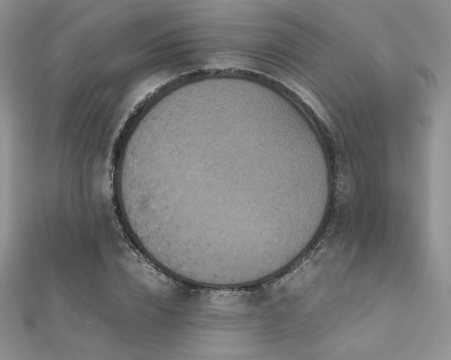 X0000112530832200908171419