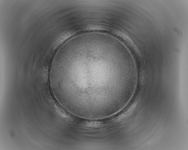 X0000112530833200908171419