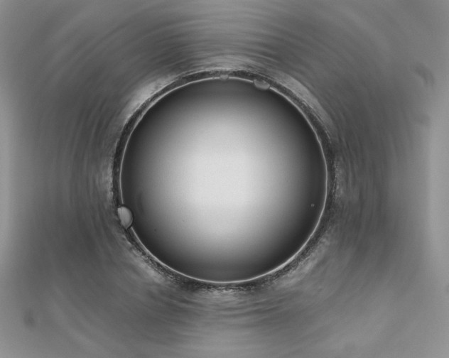 X0000112530834200908171419