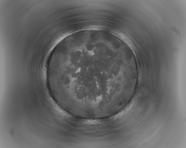 X0000112530835200908171419