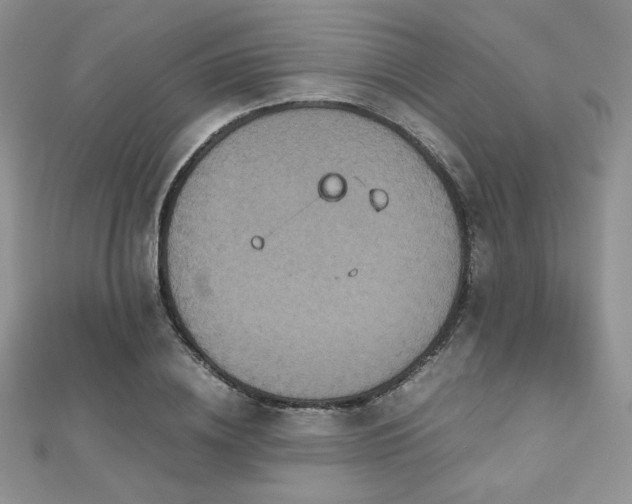 X0000112530836200908171419