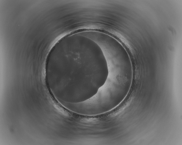 X0000112530837200908171419