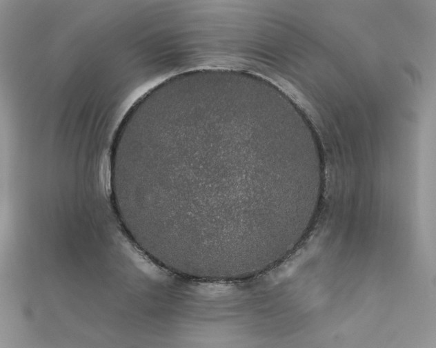 X0000112530838200908171419