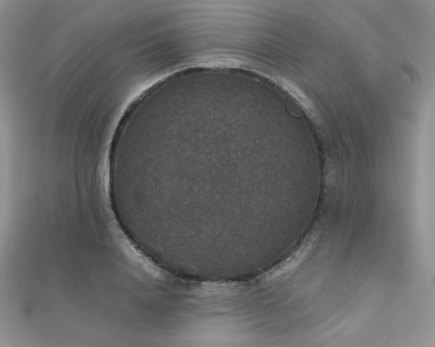 X0000112530840200908171419