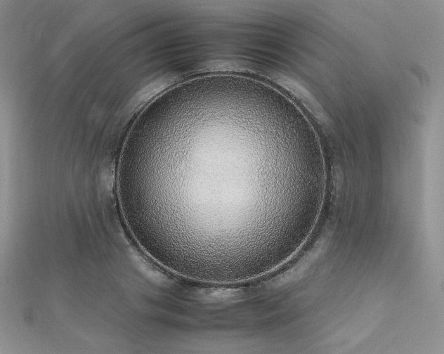 X0000112530841200908171419