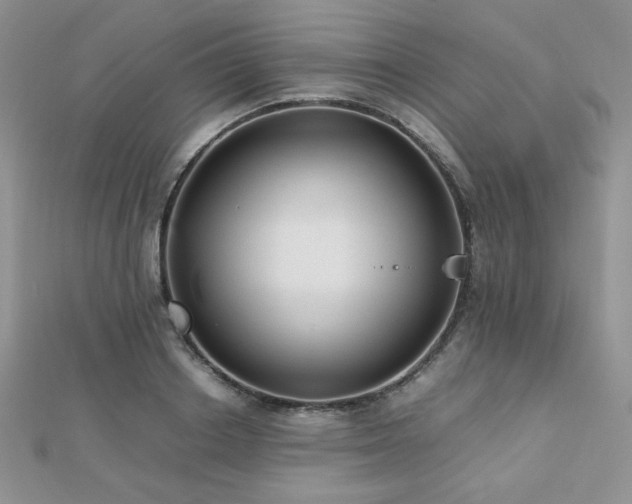 X0000112530842200908171419