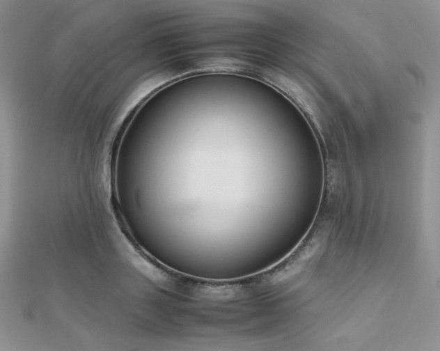 X0000112530843200908171419