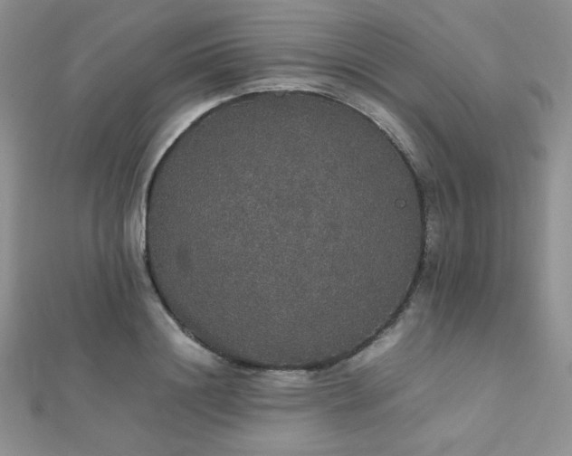 X0000112530844200908171419