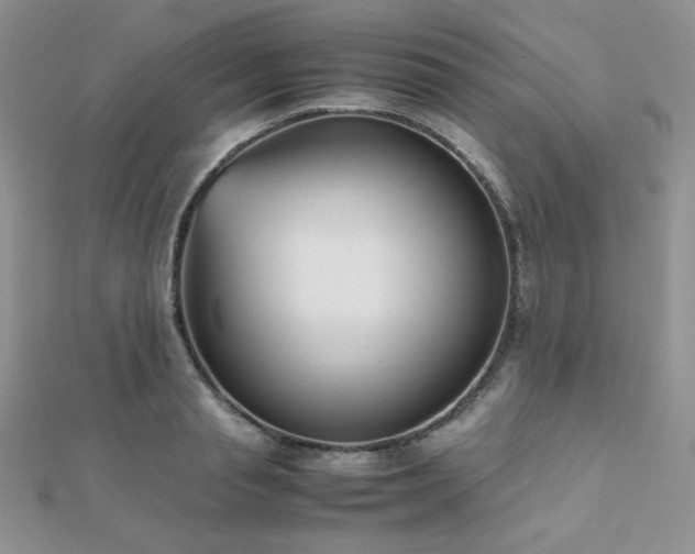 X0000112530845200908171419