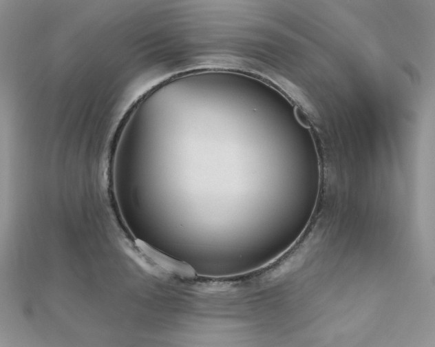 X0000112530846200908171419