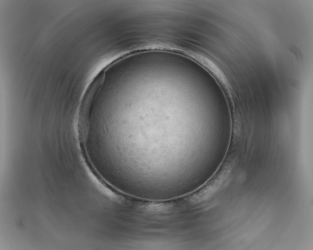 X0000112530847200908171419