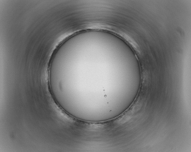 X0000112530848200908171419