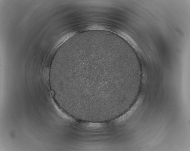 X0000112530849200908171419