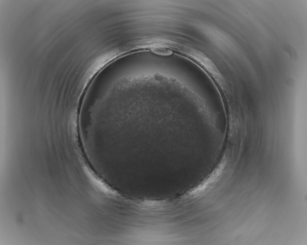 X0000112530850200908171419