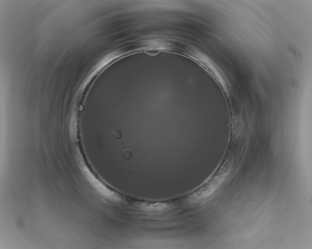 X0000112530851200908171419